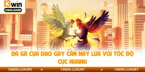 Đá Gà Cựa Dao Gay Cấn Nảy Lửa Với Tốc Độ Cực Nhanh