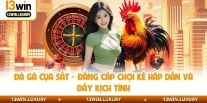 Đá Gà Cựa Sắt - Đẳng Cấp Chọi Kê Hấp Dẫn Và Đầy Kịch Tính