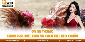 Đá Gà Thomo - Khám Phá Luật Chơi Và Cách Đặt Kèo Chuẩn