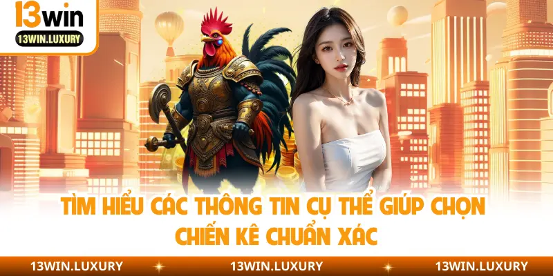 Tìm hiểu các thông tin cụ thể giúp chọn chiến kê chuẩn xác